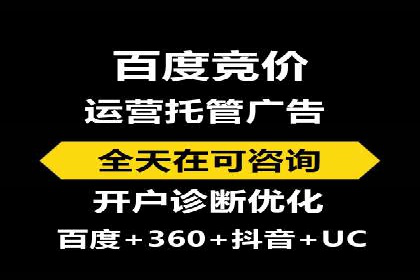 揭秘百度竞价排名：实战案例解析